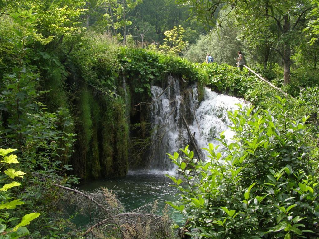 Hotel House Spehar Selište Drežničko Zewnętrze zdjęcie