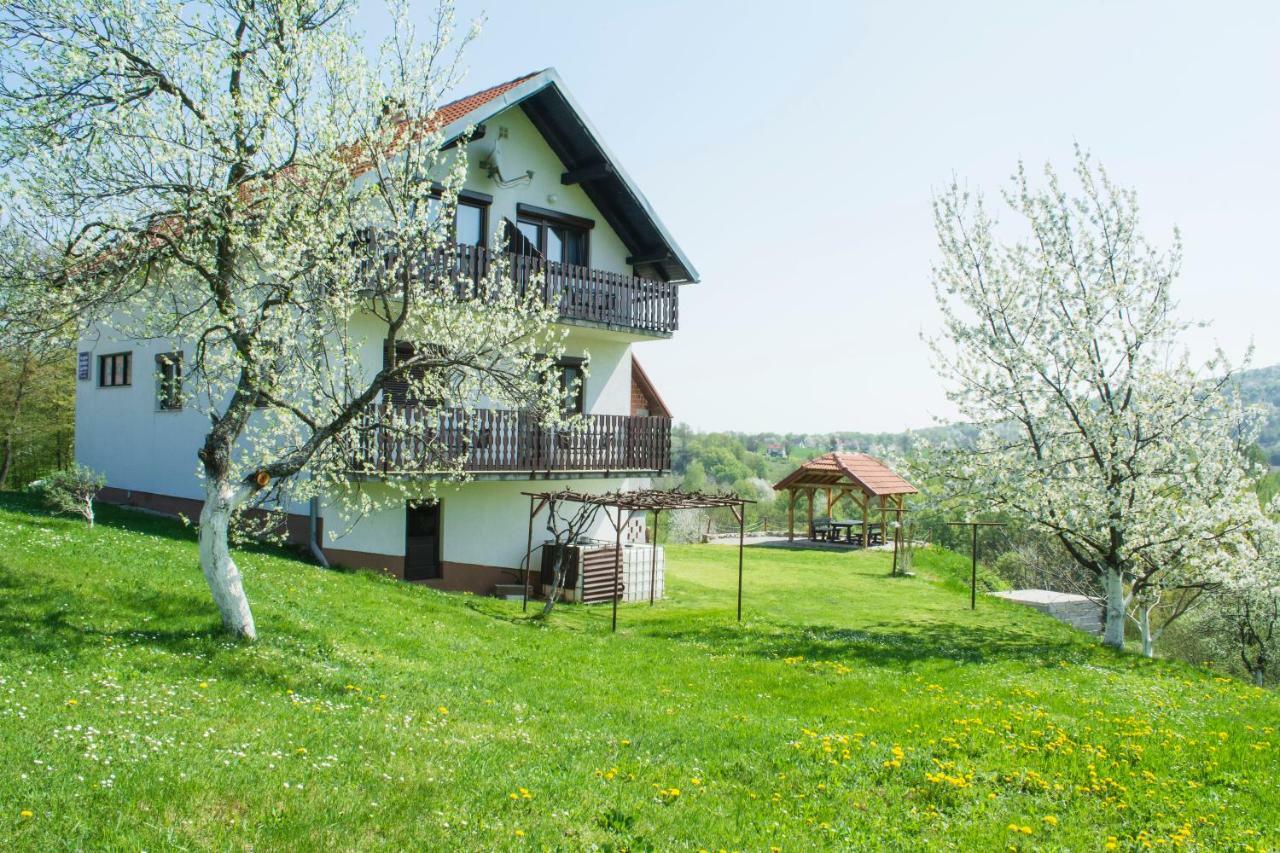 Hotel House Spehar Selište Drežničko Zewnętrze zdjęcie