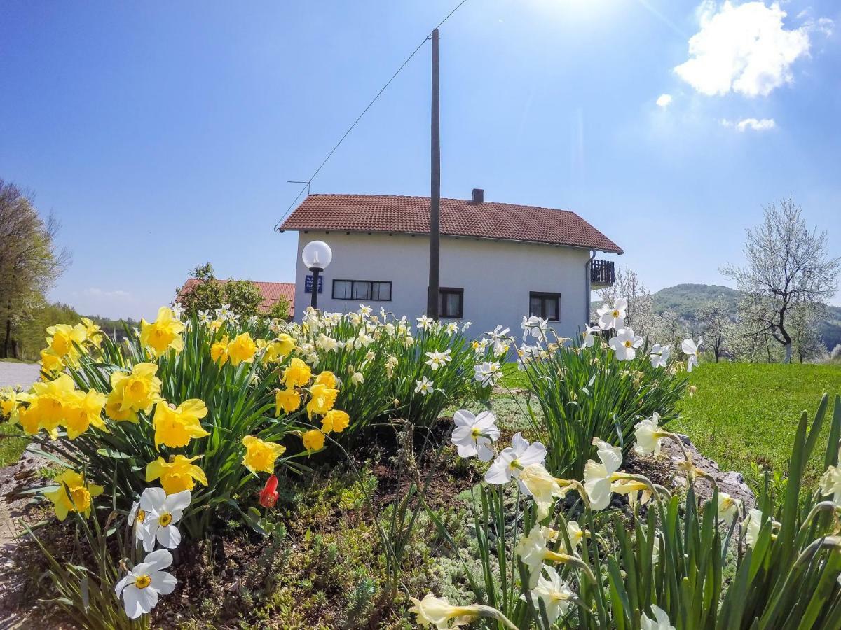 Hotel House Spehar Selište Drežničko Zewnętrze zdjęcie