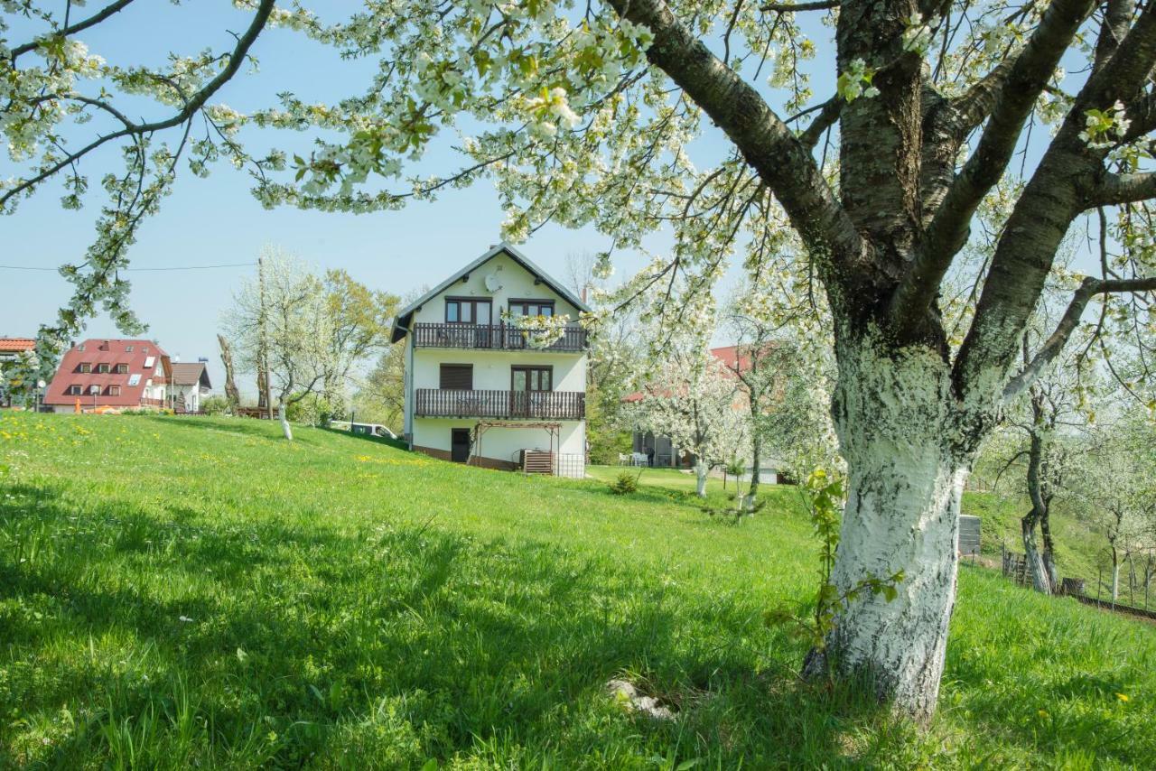Hotel House Spehar Selište Drežničko Zewnętrze zdjęcie